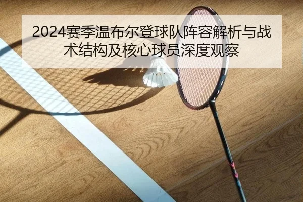 2024赛季温布尔登球队阵容解析与战术结构及核心球员深度观察