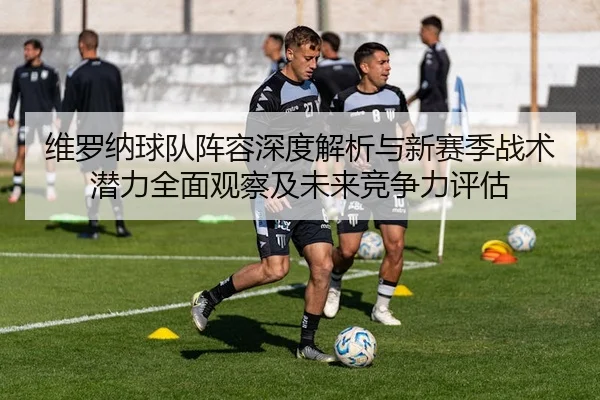 维罗纳球队阵容深度解析与新赛季战术潜力全面观察及未来竞争力评估