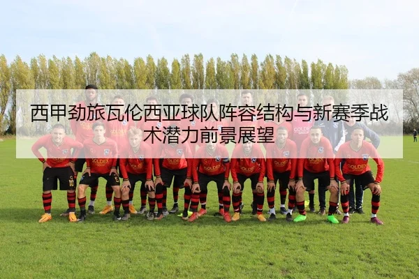 西甲劲旅瓦伦西亚球队阵容结构与新赛季战术潜力前景展望