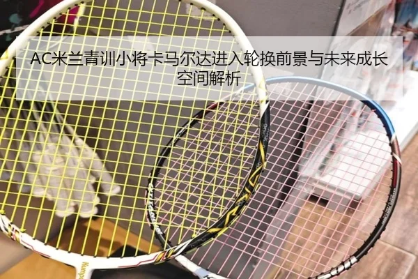 mi-lan-qing-xun-xiao-jiang-ka-ma-er-da-jin-ru-lun-huan-qian-jing-yu-wei-lai-cheng-zhang-kong-jian-jie-xi-2-239.jpg